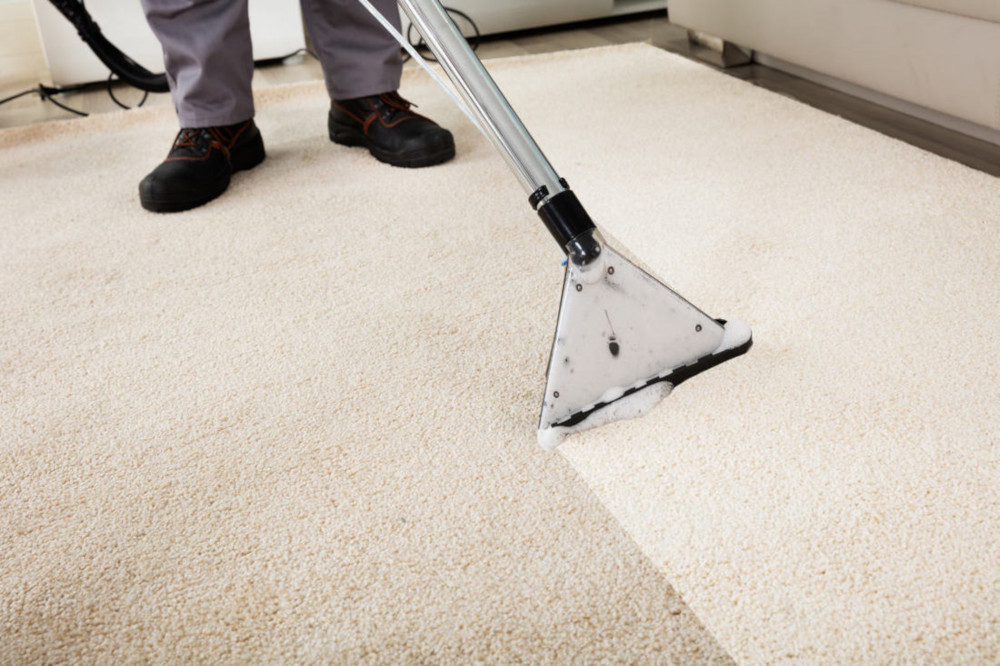 The Ultimate Price Guide for Lounge Cleaning Services | Best Agencies