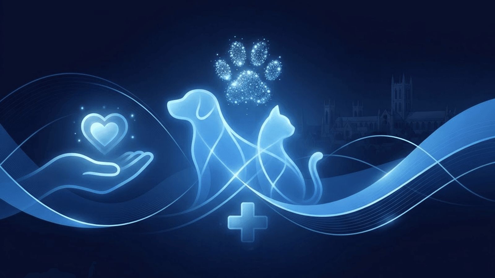 Top 10 Best Veterinary Clinics in Gloucester