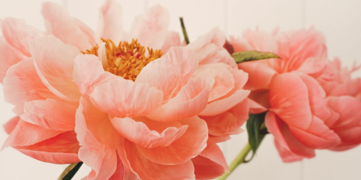 Best Flower Delivery Services Companies Best Flower Delivery Services Companies