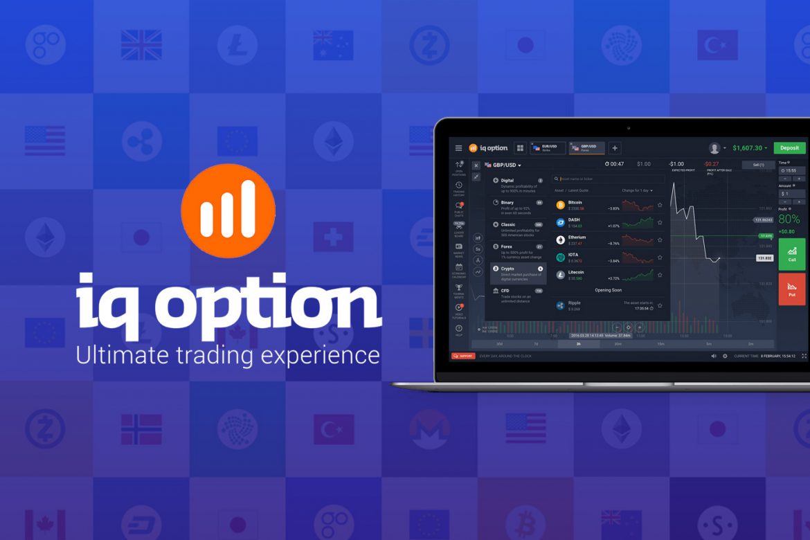 What is the IQ Option?