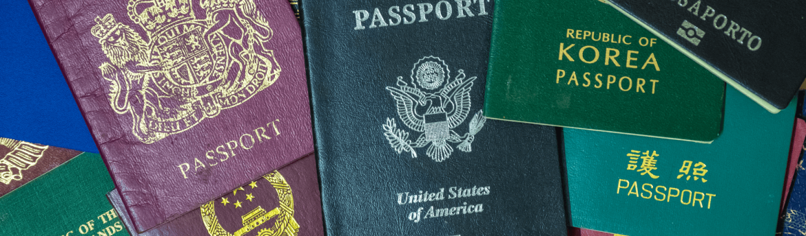 Why Salaried Professionals are Opting for Second Citizenship? Why Salaried Professionals are Opting for Second Citizenship?